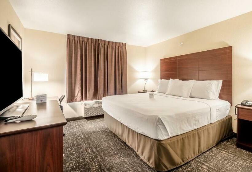 Номер Стандарт Кровать Кинг Адаптированный для Инвалидов, Comfort Inn & Suites Morgan