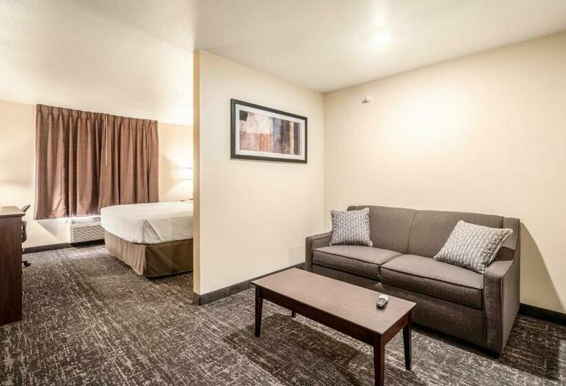 Студия Стандарт, Comfort Inn & Suites Morgan
