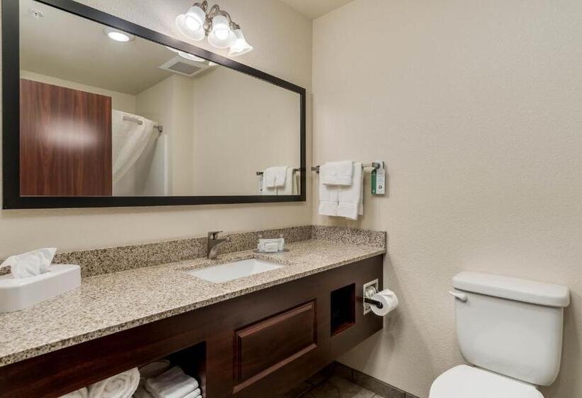 Стандартный Номер Кровать Кинг, Comfort Inn & Suites Morgan