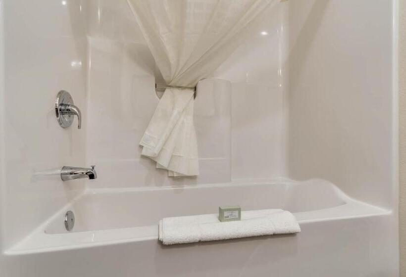 Студио Стандарт Кровать Кинг, Comfort Inn & Suites Morgan