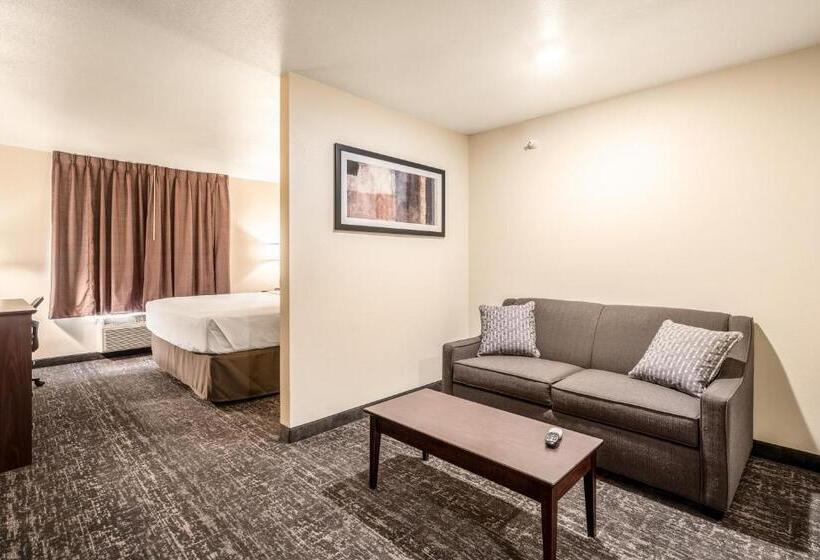 Студио Стандарт Кровать Кинг, Comfort Inn & Suites Morgan