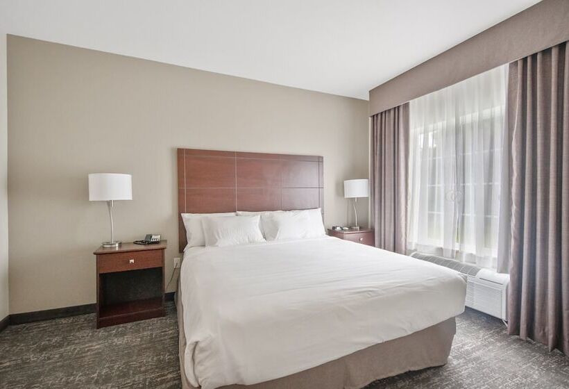 Люкс, Comfort Inn & Suites Morgan