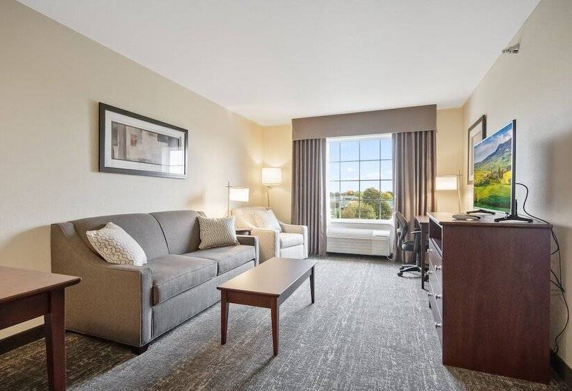 Люкс, Comfort Inn & Suites Morgan