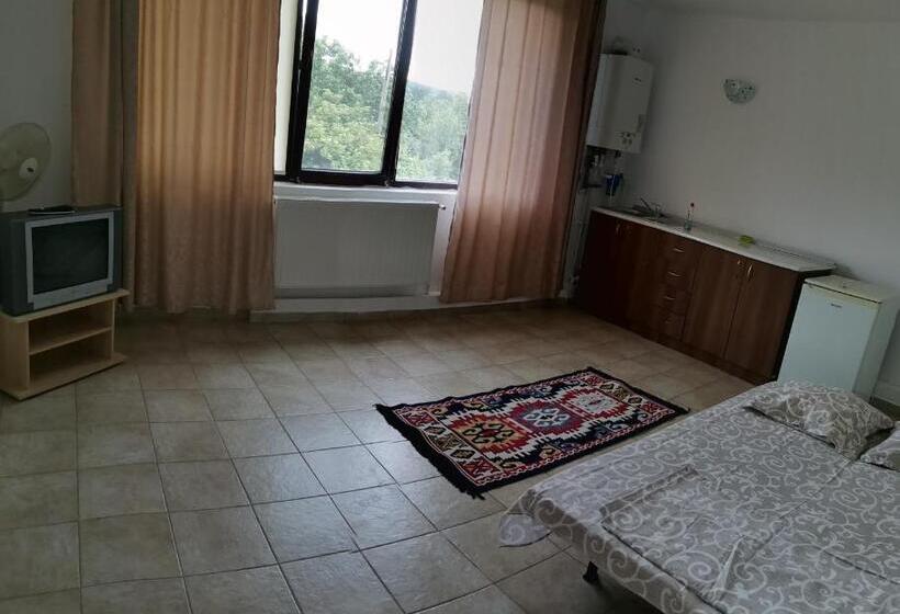 استودیوی استاندارد, Natalia Guesthouse