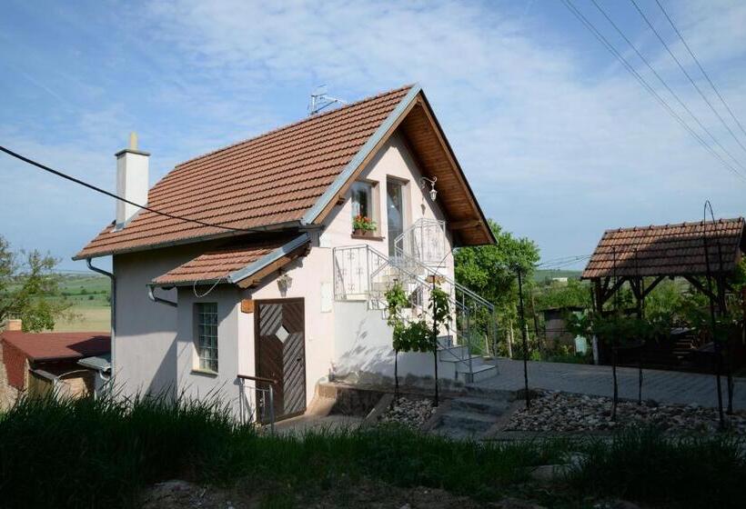 Дом 1 Спальня, Ubytování U Rybníka Bořetice