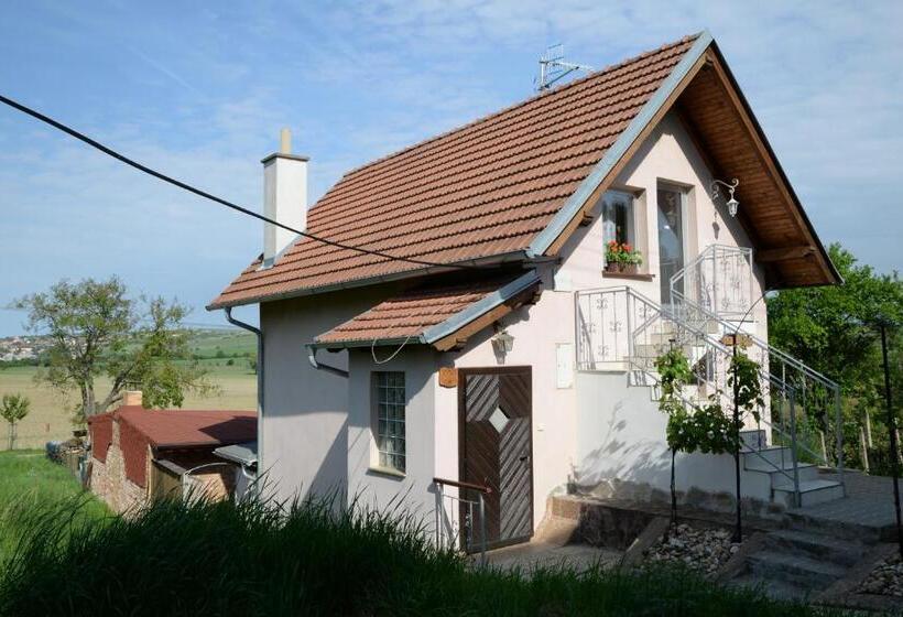 Дом 1 Спальня, Ubytování U Rybníka Bořetice