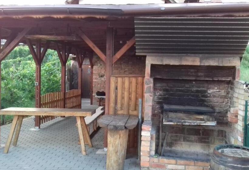 Дом 1 Спальня, Ubytování U Rybníka Bořetice