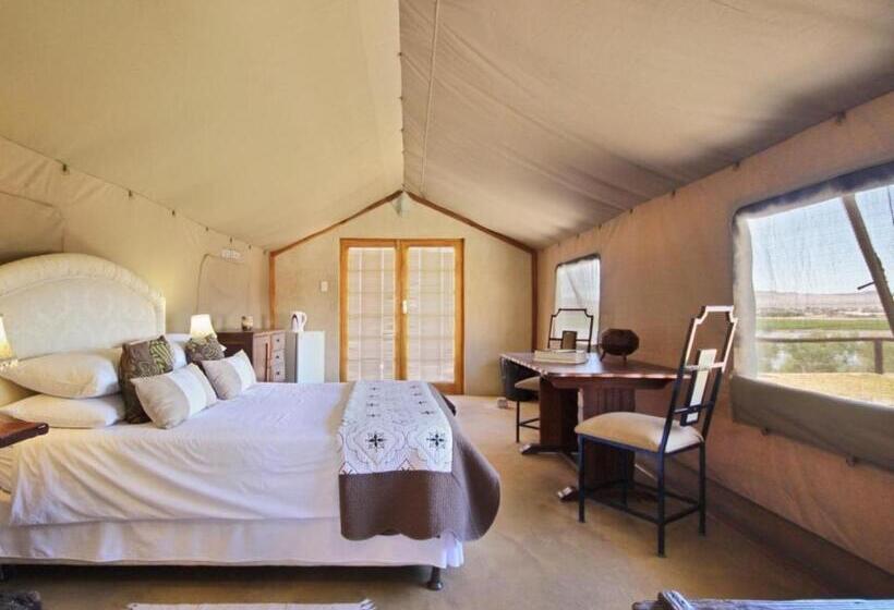 Standard Tent, Frontier River Resort