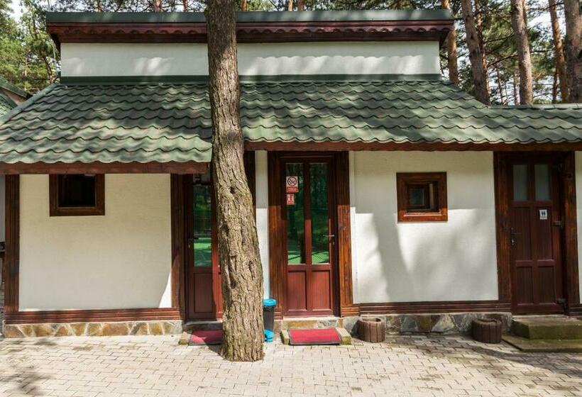 Номер Стандарт Совместная Ванная, Complex Parc Pini Moinesti