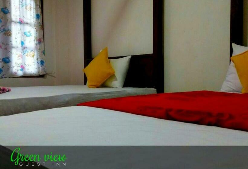 带大床的标准间, Green View Guest Inn