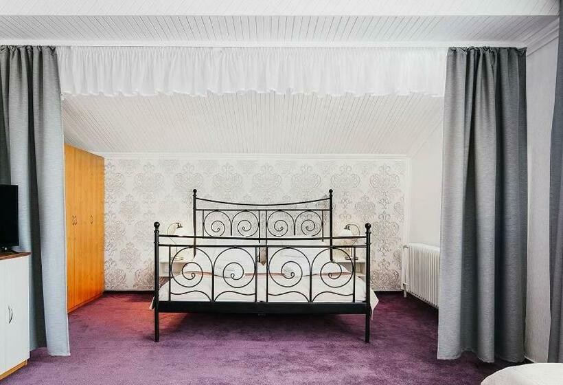 标准间带阳台, Wellness Hotel Bahenec
