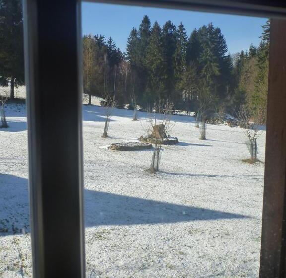 Номер Стандарт, Pension Klokočí