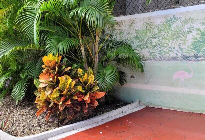 Номер Стандарт Индивидуальный, Calypso Beach Hotel By The Urbn House Santo Domingo Airport