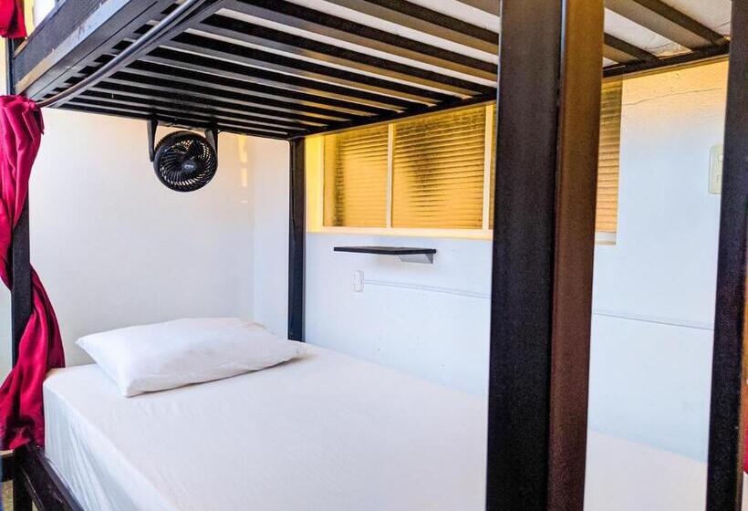 Кровать в Общей Комнате, Traveler Hostel