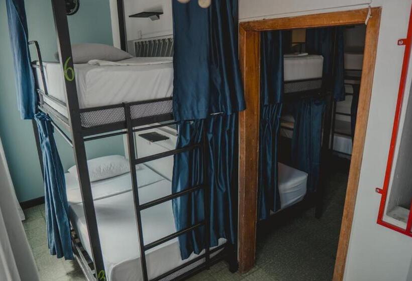 Кровать в Общей Комнате, Traveler Hostel