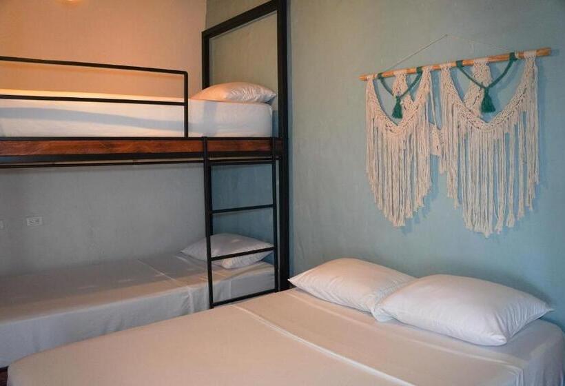 Шале Superior 1 Спальня, Traveler Hostel