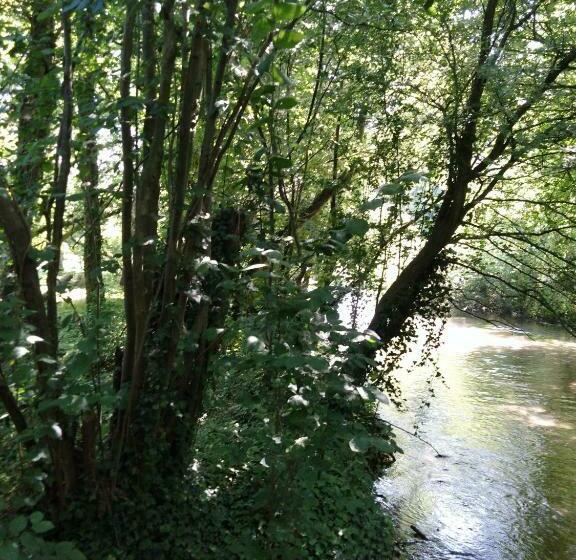 Номер Стандарт, Le Moulin Des Roses