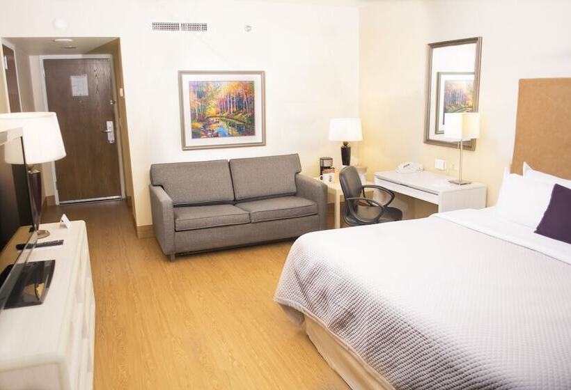 スタンダードルーム, Istay Hotel Ciudad Juarez
