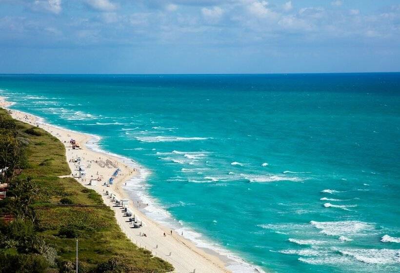 高级海景房, Eden Roc Miami Beach