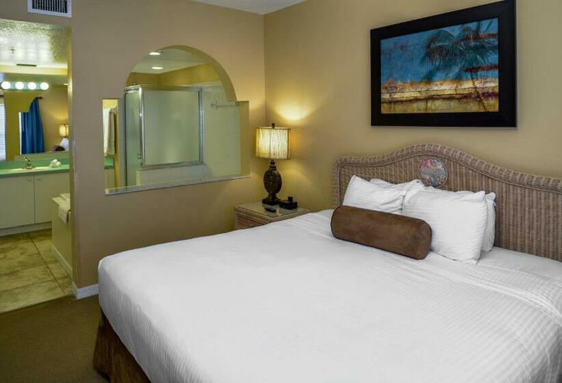 Апартаменты 3 Спальни, Hilton Vacation Club Aqua Sol Orlando West
