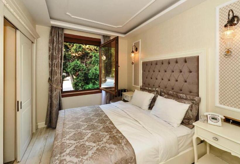 Standard Room, Zeynep Sultan