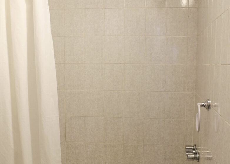 اتاق استاندارد سه نفره, Alto Parana