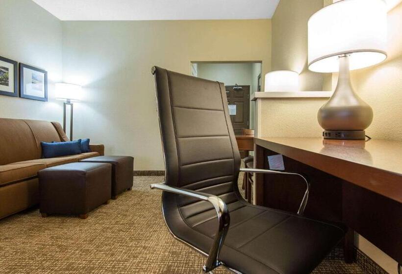 Люкс Кровать Кинг, Comfort Suites Rochester Henrietta University Area