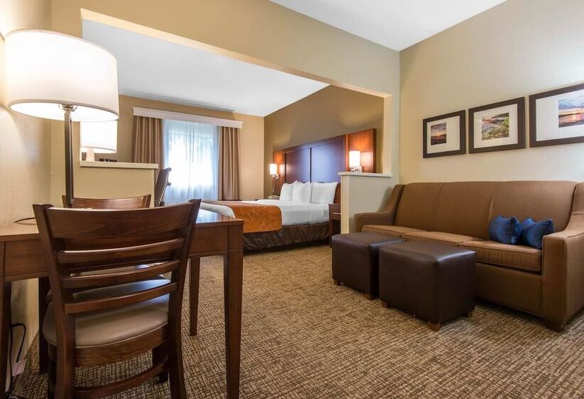 Люкс, Comfort Suites Rochester Henrietta University Area