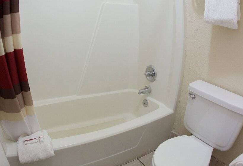 Deluxe Kamer, Red Roof Inn Seattle Airport  Seatac