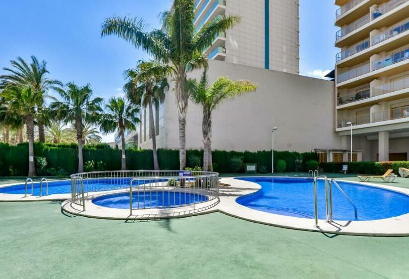 침실 1개 바다 전망 아파트, Apartamentos Ambar Beach