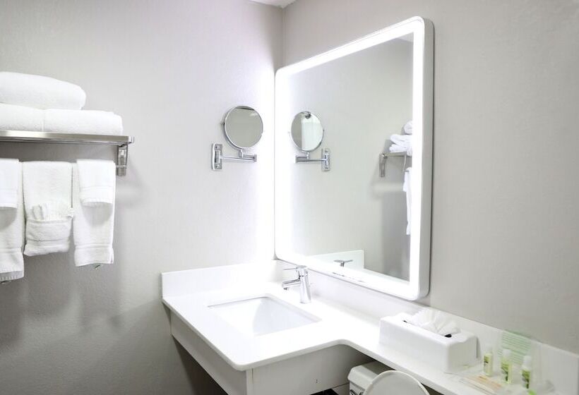 标准间, Holiday Inn Chicago/oak Brook, An Ihg