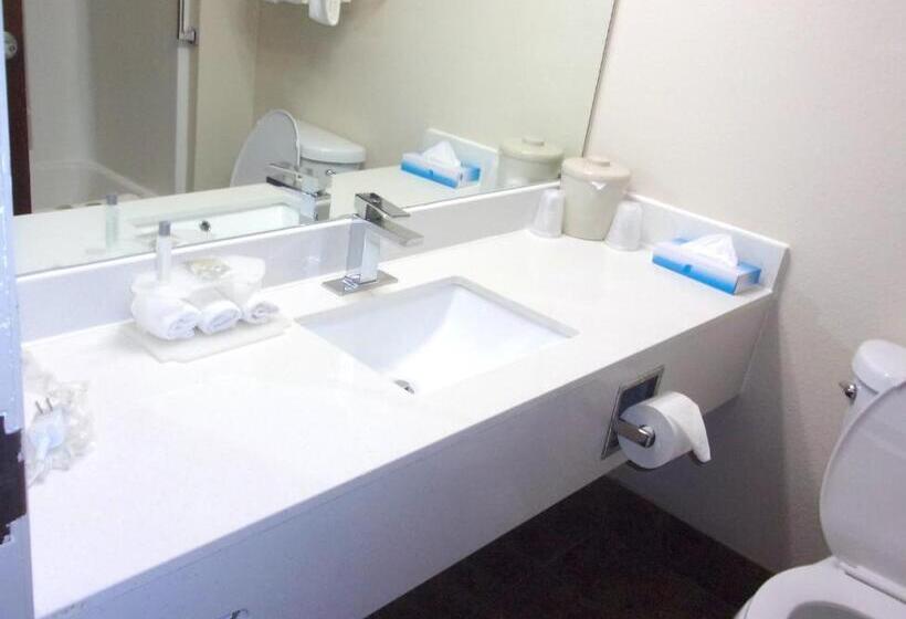 带大床的高级房间, Red Roof Inn & Suites Monee