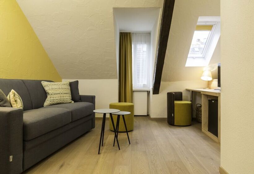 اتاق سوپریور, Platzhirsch Zürich   Downtown Boutique Hotel & Sushi Lounge