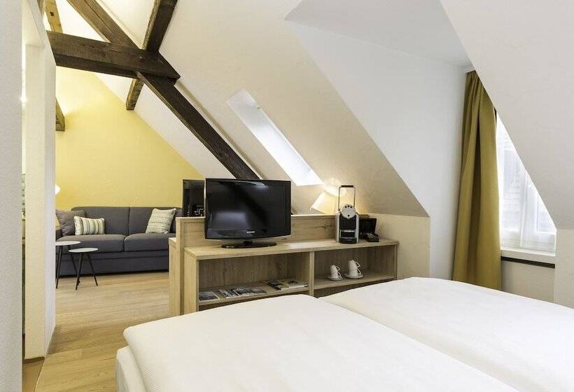 اتاق سوپریور, Platzhirsch Zürich   Downtown Boutique Hotel & Sushi Lounge