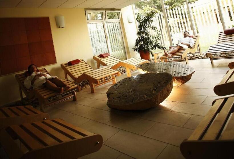 اتاق استاندارد, Ajda   Terme 3000   Sava Hotels & Resorts