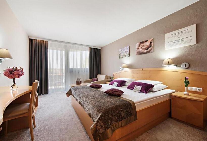 اتاق استاندارد, Ajda   Terme 3000   Sava Hotels & Resorts