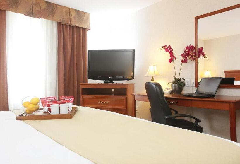 Номер Стандарт Кровать Кинг Адаптированный для Инвалидов, Stonebridge Hotel Dawson Creek