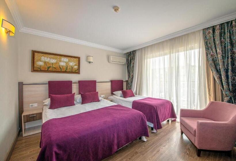 Номер Стандарт Вид на Сад, Crystal Aura Beach Resort & Spa   Ultimate All Inclusive