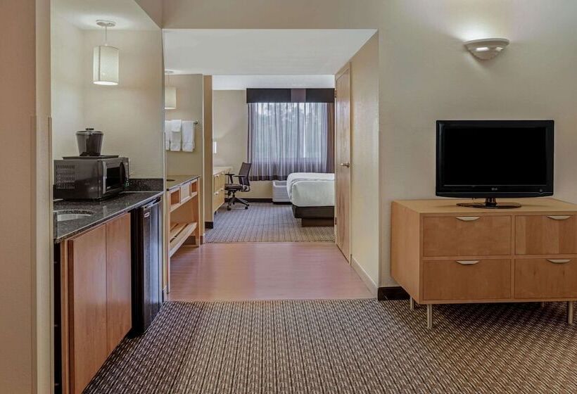 디럭스 스위트, La Quinta By Wyndham Naples Downtown