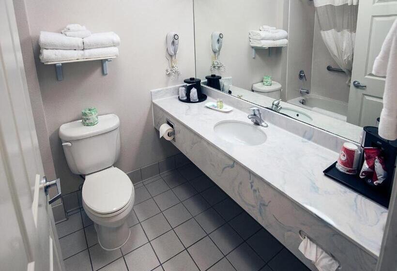 Номер Стандарт, Surestay Plus Hotel By Best Western Billings