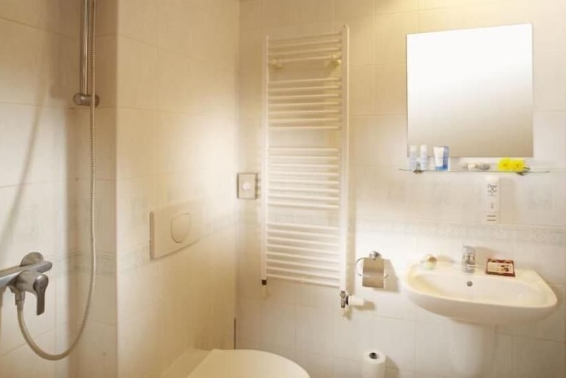 4인용 스탠다드 룸, Spa Hotel Bily Horec