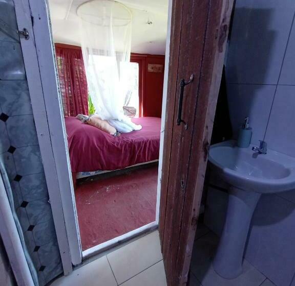 חדר סטנדרט, Green House Hostel