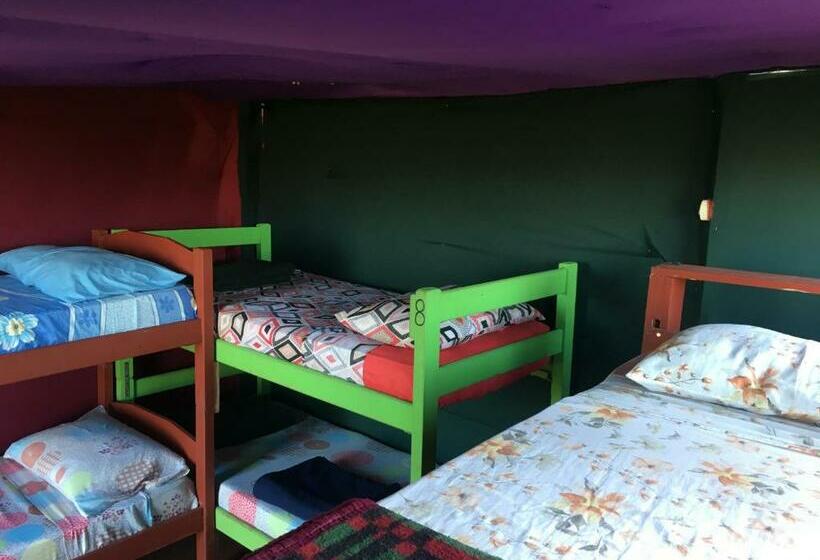 공동 객실, Green House Hostel