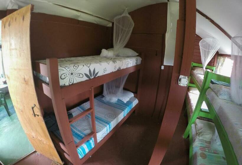 공동 객실, Green House Hostel