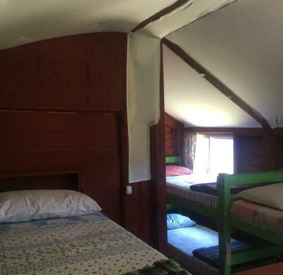공동 객실, Green House Hostel