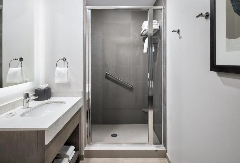 스탠다드 룸 킹사이즈 침대, Hyatt House Denver Aurora