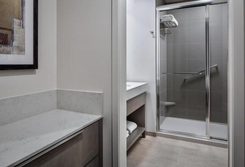 스탠다드 스튜디오 킹침대, Hyatt House Denver Aurora