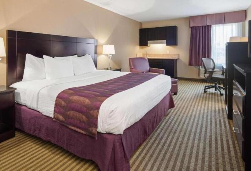 Стандартный Номер Кровать Кинг, Best Western Bayou Inn