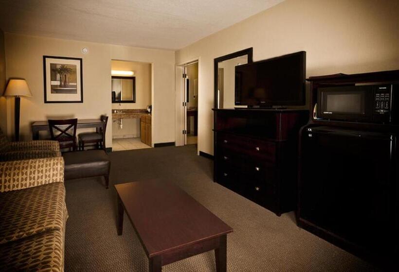 디럭스 스위트, Grand Texan Hotel And Convention Center