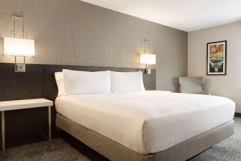 스탠다드 룸 킹사이즈 침대, Hilton Garden Inn Washington Dc Downtown